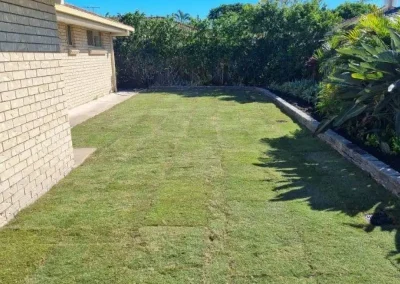 turfing Petrie