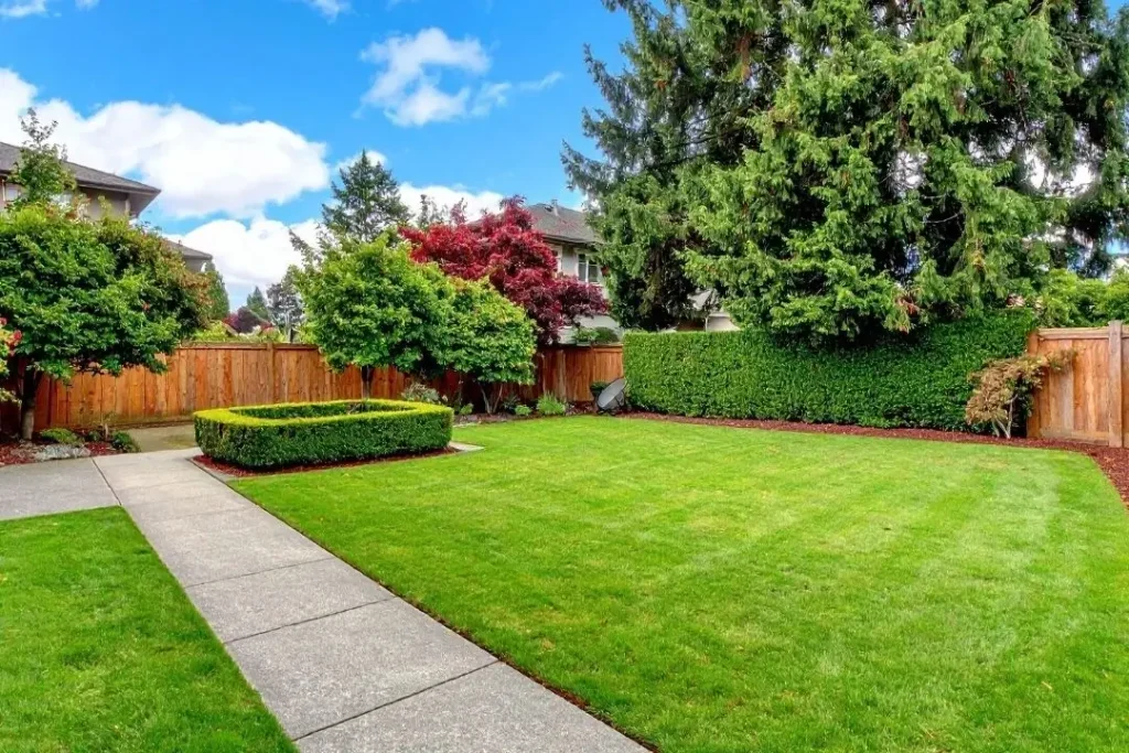finished yard transformation