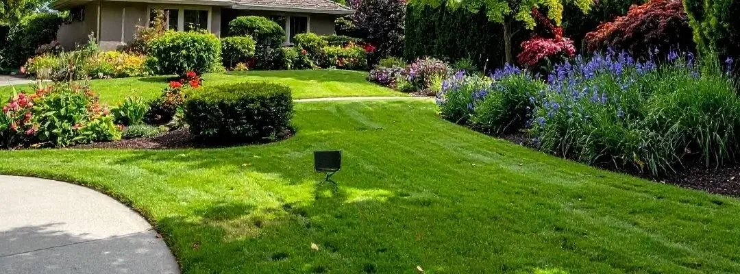 How to Plan a Complete Backyard Transformation