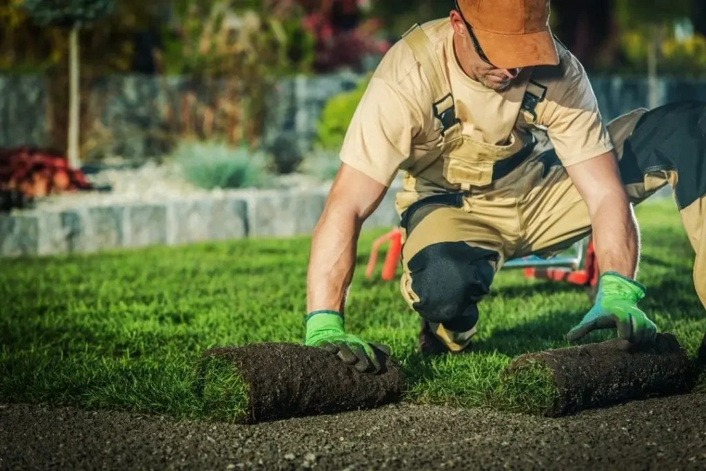 laying down turf for the front yard
