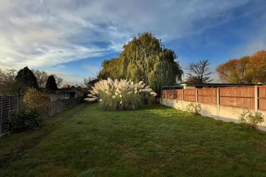 unlandscaped yard