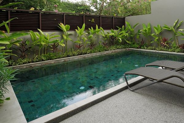 reliable swimming pool landscaping company North Brisbane reliable swimming pool landscaping company North Brisbane